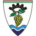 Siófoki SZC_logo